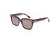 RS670 Sunglasses Runway 54 Brun Gris