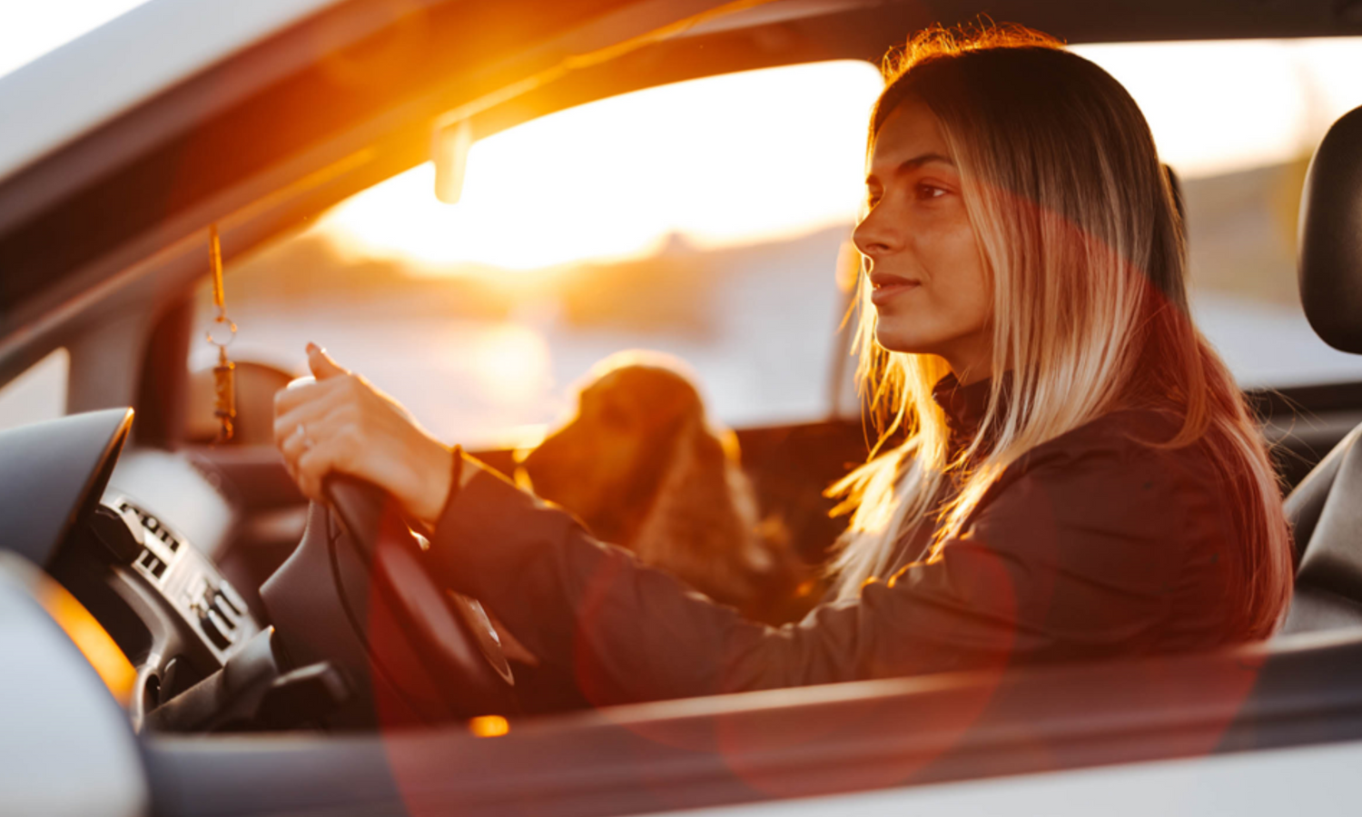 A lady driving with her dog by her side. Eyes facing front
