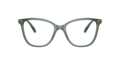 SK2020 Frames Swarovski 54 Transparent vert