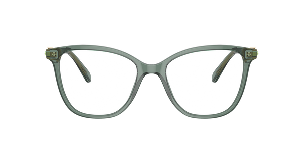SK2020 Frames Swarovski 54 Transparent vert