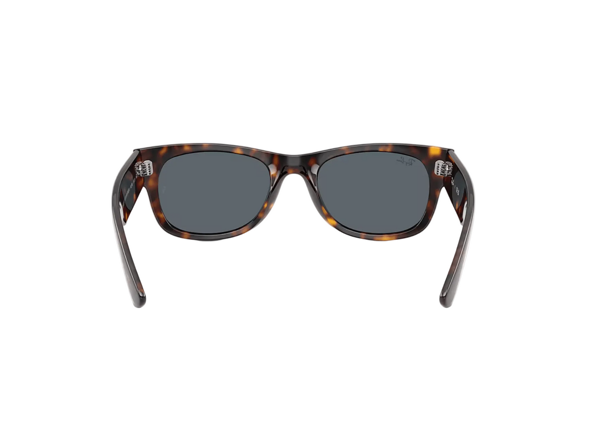 RB0832SF Mega Wayfarer II