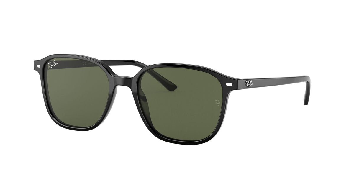 0RB2193 Sunglasses Ray Ban   