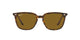 0RB4362 Sunglasses Ray Ban 55 710/83 - HAVANA Brun