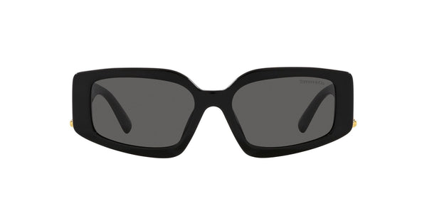 0TF4208U Sunglasses Tiffany 54 Noir Gris