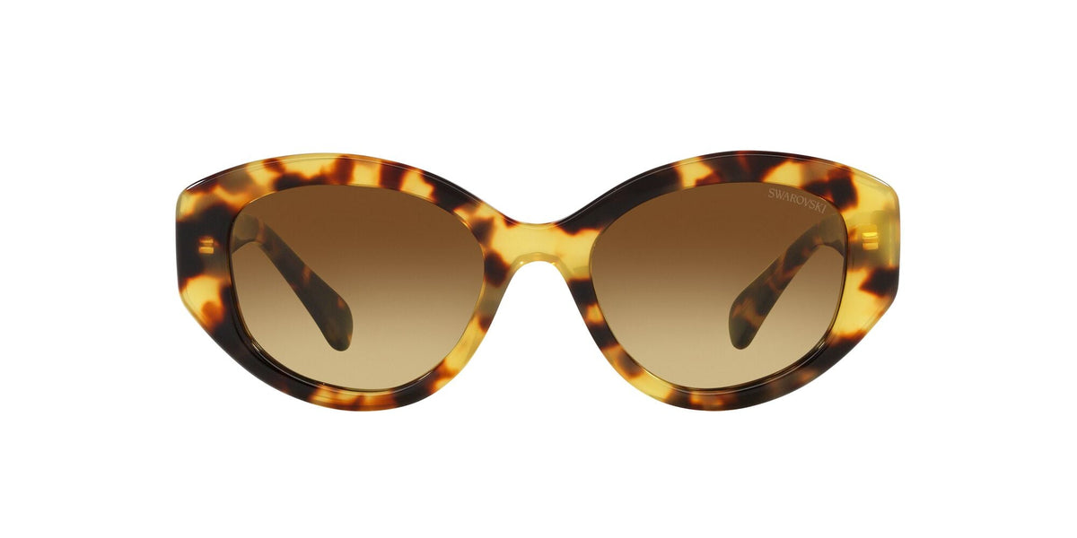 SK6005 Sunglasses Swarovski 53 Havana Brun