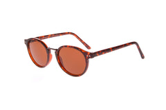 SS-SUN10 Sunglasses Success 48 Brown Brown