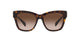 0MK2182U Sunglasses Michael Kors 55 Brown Brown