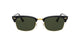 0RB3916 Sunglasses Ray Ban 52 130331 - BLACK Green